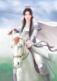 低维游戏